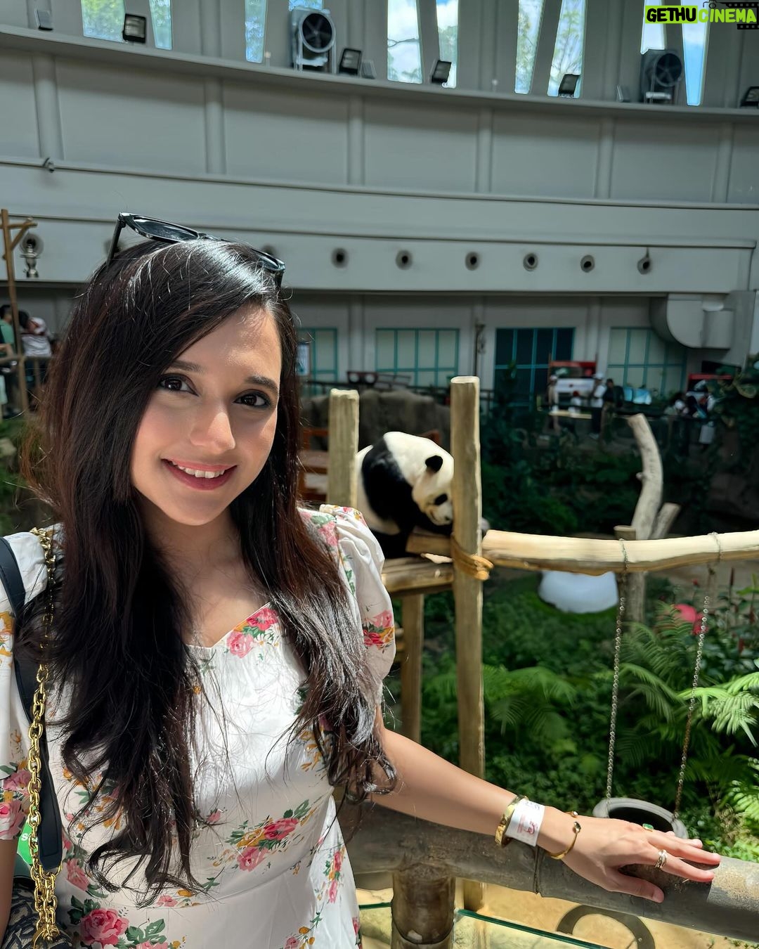 Sabila Nur Instagram - Panda is my spirit animal πΌπ Selangor Malaysia.