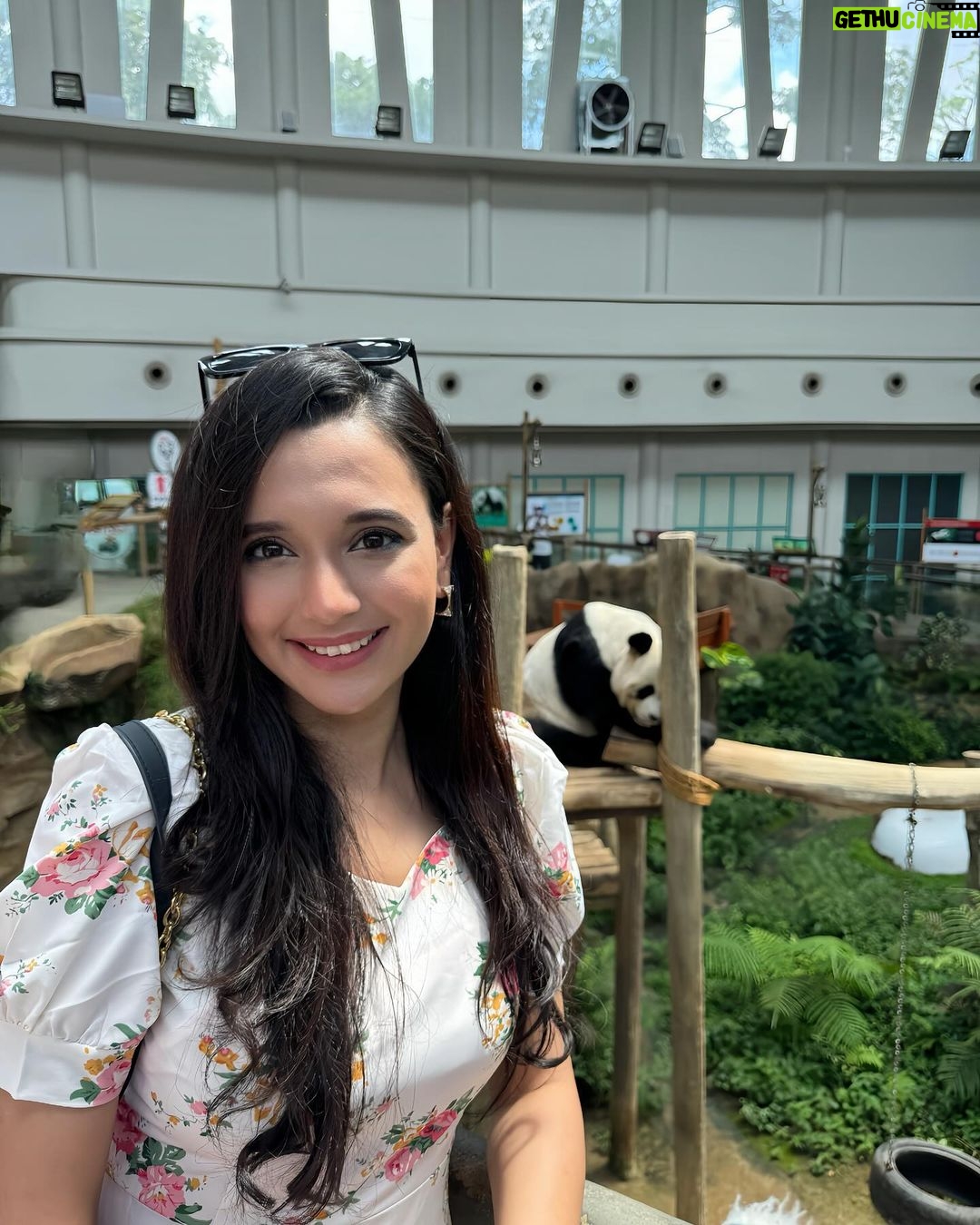 Sabila Nur Instagram - Panda is my spirit animal πΌπ Selangor Malaysia.