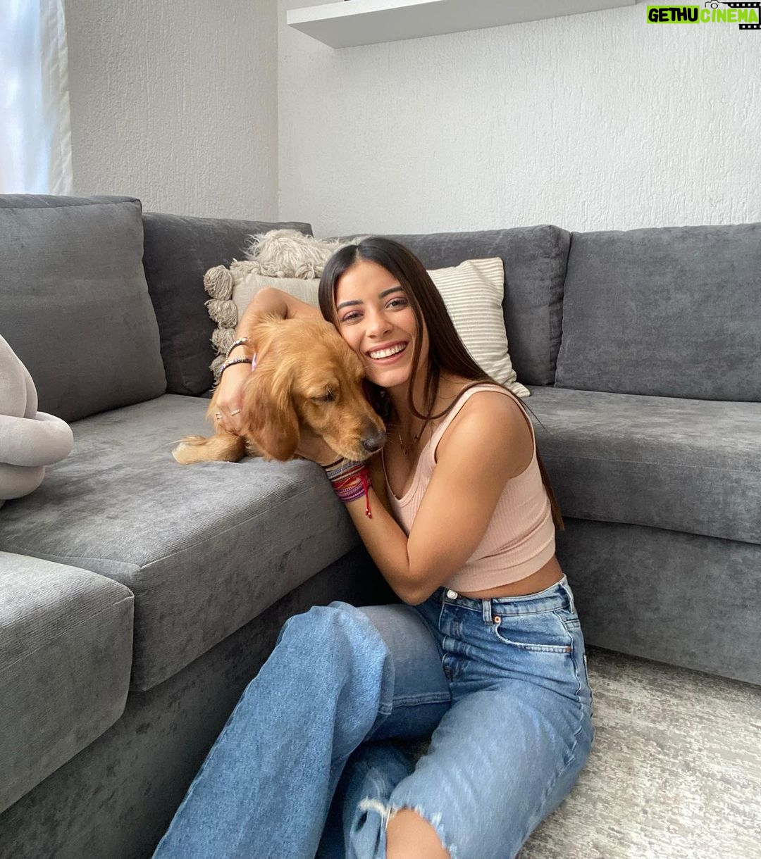 Sabina Hidalgo Instagram - Shelby bebé, eres lo mas bello. Guadalajara, Jalisco