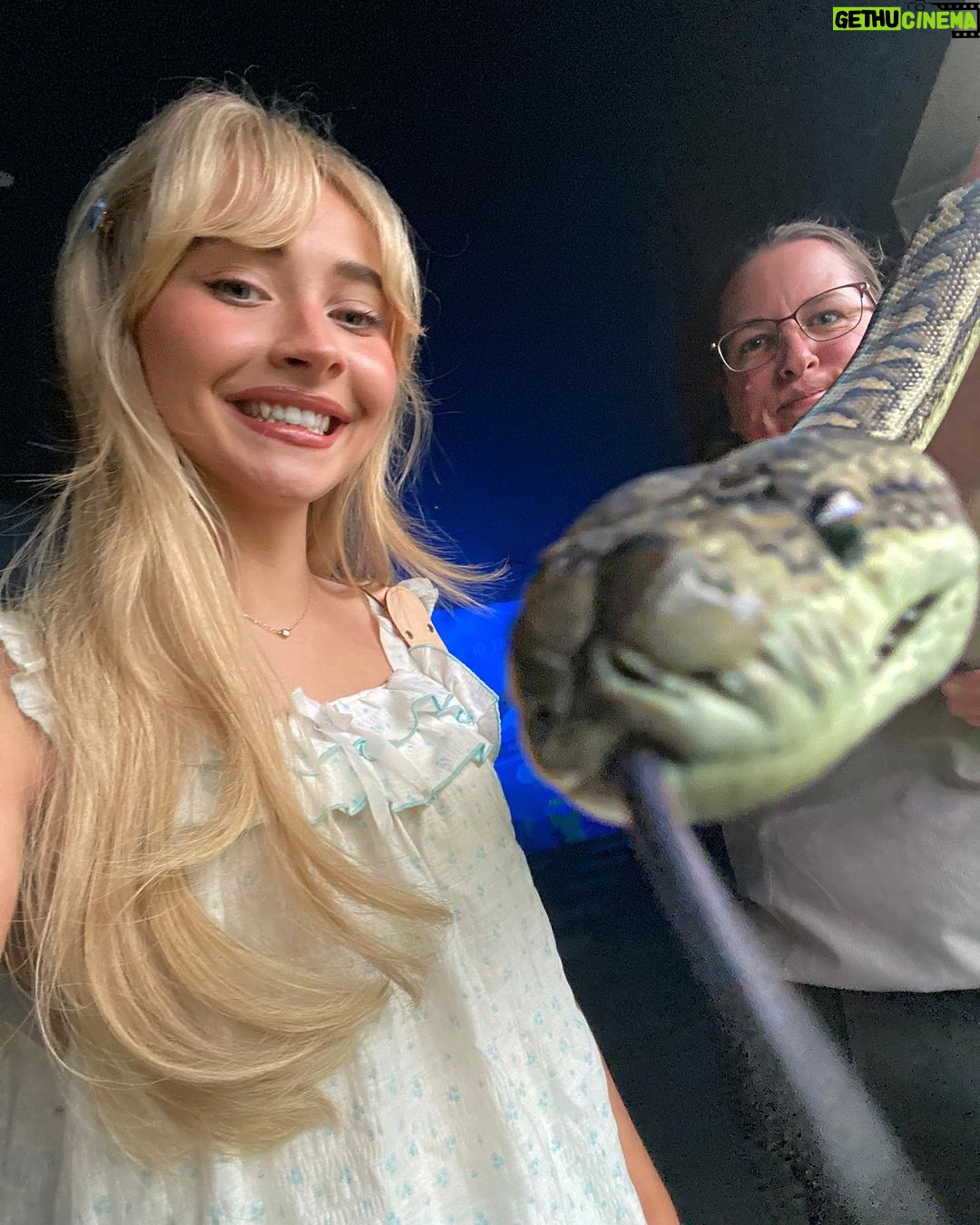 Sabrina Carpenter Instagram - Sydney Eras tour <3 thank you for being so so kind to us!! special shout-out to cuddles this snake i met and Jonah hill sorry about your coffee man