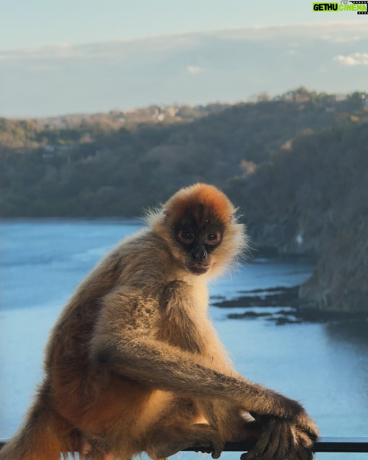 Sabrina Sato Instagram - As 5:43h da manhã e a gente já ouvia e desejava Pura Vida. Pura vida na Costa Rica é ter a consciência que a vida é o que fazemos dela, além de apreciar as coisas mais simples, com felicidade e otimismo. Obrigada Nicolas meu ❤️. Costa Rica Peninsula Papagayo