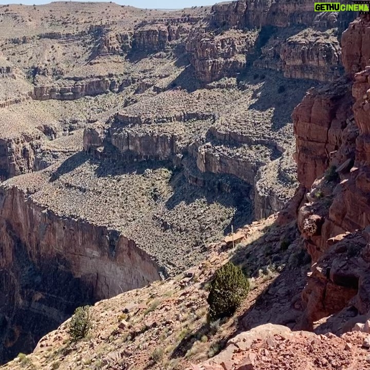 Sabrina Seara Instagram - Sin locura no hay FELICIDAD! Cuantas ganas tenia de conocer el #grandcanyon un ✔️en mi lista de #goals❤️ Cuéntame que lugares tienes en tu lista de deseos ✏️🗒 ? Vean El último video 🙈 #grandcanyon #vegasstrip #monatreunion2022 #vivalasvegas #momtobe #pregnancygoals #preggo Las Vegas, Nevada