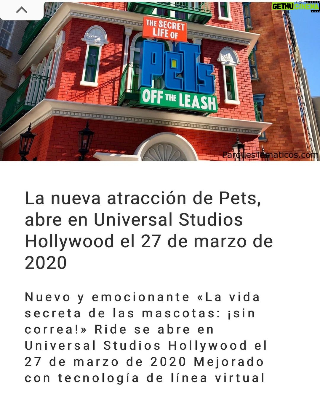 Sabrina Seara Instagram - Un viaje relámpago a Orlando para abrazar a la familia, escaparnos a visitar lo que más nos divierte , Los parques 🎢 y enterarnos que la nueva atracción #thesecretliveofpets estrenó en #universalstudioshollywood y no en #universalstudiosorlando jajaja 🤣 #noseaslocachica Maxi se quedo con las ganas conocer el ride de su peli favorita! Universal Studios, Orlando . Florida