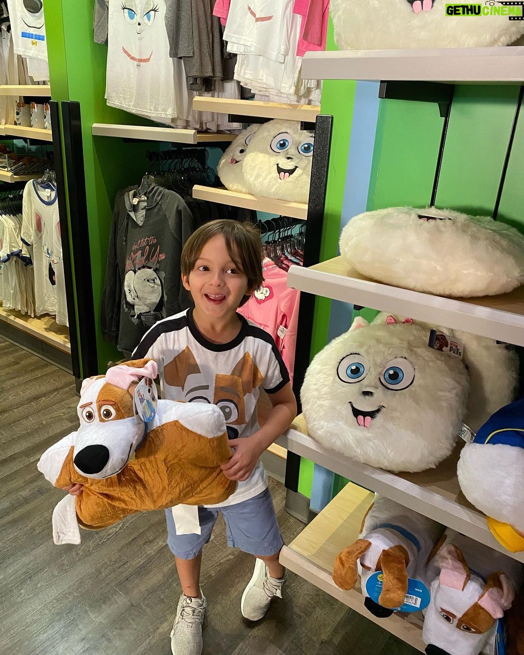 Sabrina Seara Instagram - Un viaje relámpago a Orlando para abrazar a la familia, escaparnos a visitar lo que más nos divierte , Los parques 🎢 y enterarnos que la nueva atracción #thesecretliveofpets estrenó en #universalstudioshollywood y no en #universalstudiosorlando jajaja 🤣 #noseaslocachica Maxi se quedo con las ganas conocer el ride de su peli favorita! Universal Studios, Orlando . Florida