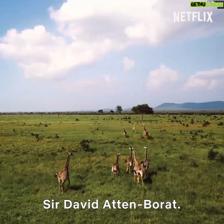 Sacha Baron Cohen Instagram - @sethrogen’s Hilarity for Charity April 6 @netflixisajoke