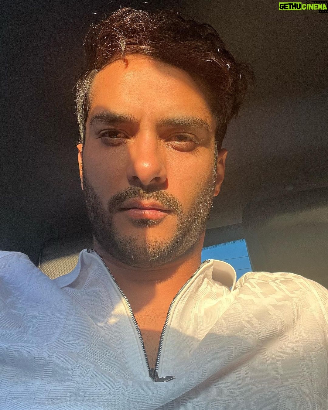 Saed Soheili Instagram - يه بار كاشتم، گوسفند خورد يه بار كاشتم آفت زد. اینبارم، همينكه برداشت كردم، دزد زد. (البته ولتون نمیکنم) ولی من تخمشو دارم…دوباره میکارم. گیروگورم حل بشه، میگم کت تنه کیه 😉🦍🦾 کفر نعمت می کند رزق حلال خود حرام طفل از پستان گزیدن می کند خون شیر را . کلاهبردار زیاد شده نه؟؟