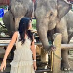 Safa Kabir Instagram - Just look at my excitement I was so happy to meet them 🐘🤍 and getting a hug from them was magical. I heard that elephant symbolize strength, power, and fertility … And lephant hug is a symbol of strength and compassion, making this statue a perfect way to show your love and appreciation. #elephant #elephantlovers🐘🐘 #peace #power #stability