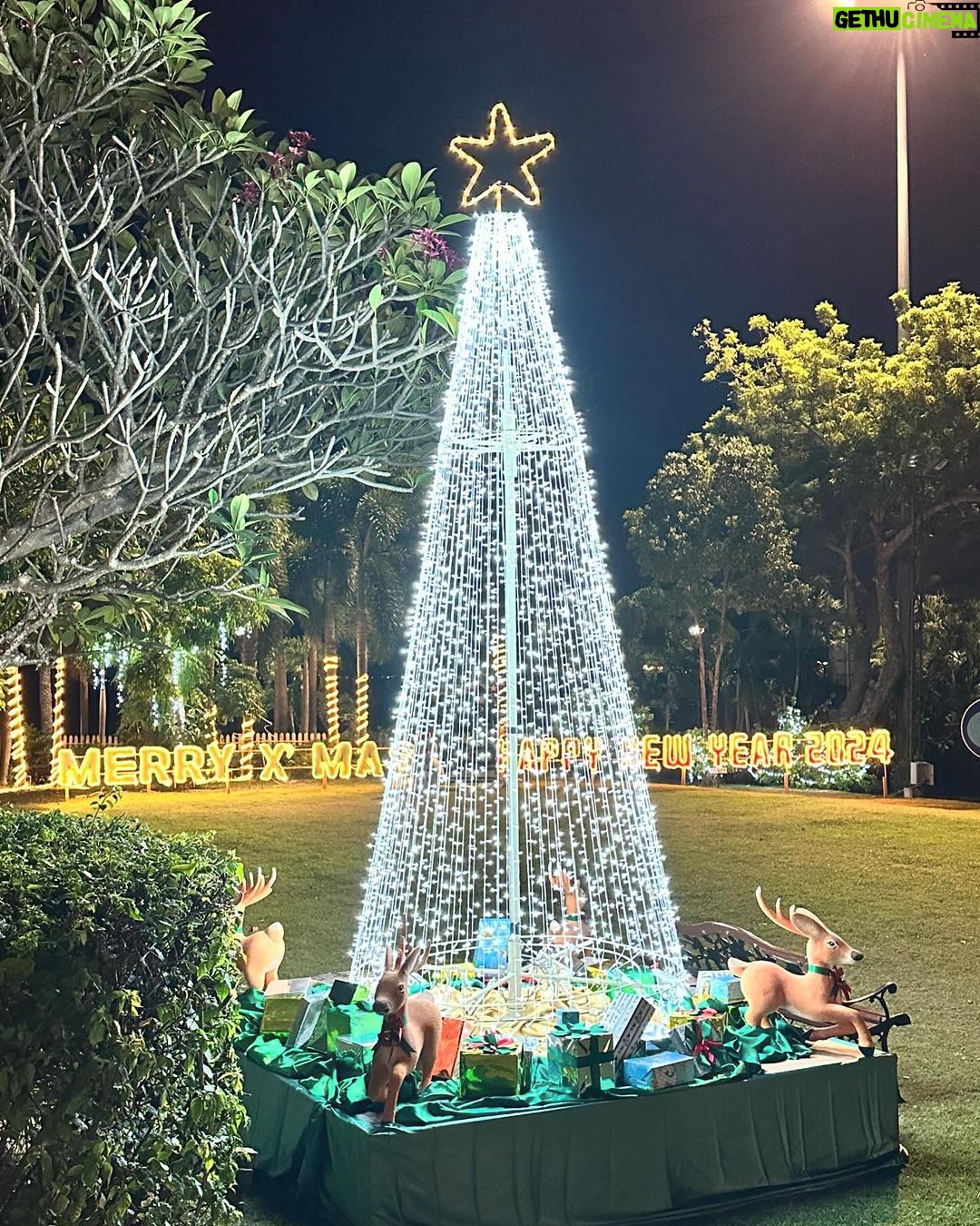 Safa Kabir Instagram - Wishing you all a Merry Christmas π and a New Year filled with hope, health, and happiness π«Άπ»