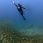 Safa Kabir Instagram – There is so much to see under the Sea. I really wanted to do it for a very long time. Finally it happened nicely and smoothly and I loved every bit of it. Thank you @blackturtledive 
For making one of my dreams come true. A lot of places need to be discovered, this time it was 12 meter in Tanote bay Thailand.