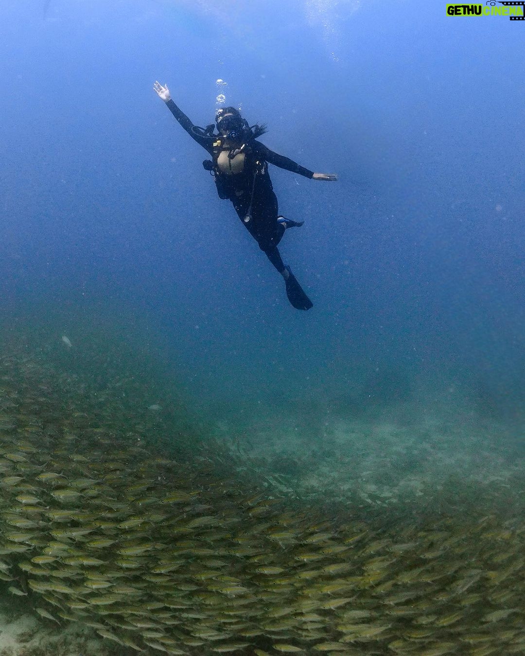 Safa Kabir Instagram - There is so much to see under the Sea. I really wanted to do it for a very long time. Finally it happened nicely and smoothly and I loved every bit of it. Thank you @blackturtledive For making one of my dreams come true. A lot of places need to be discovered, this time it was 12 meter in Tanote bay Thailand.