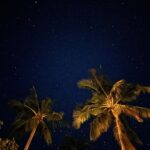 Safa Kabir Instagram – When was the last time you saw a sky full of stars?
