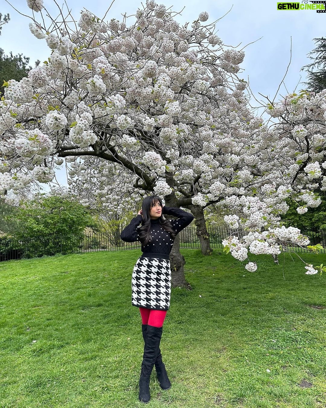 Safa Kabir Instagram - Pretty place 🌸 Hyde Park, London