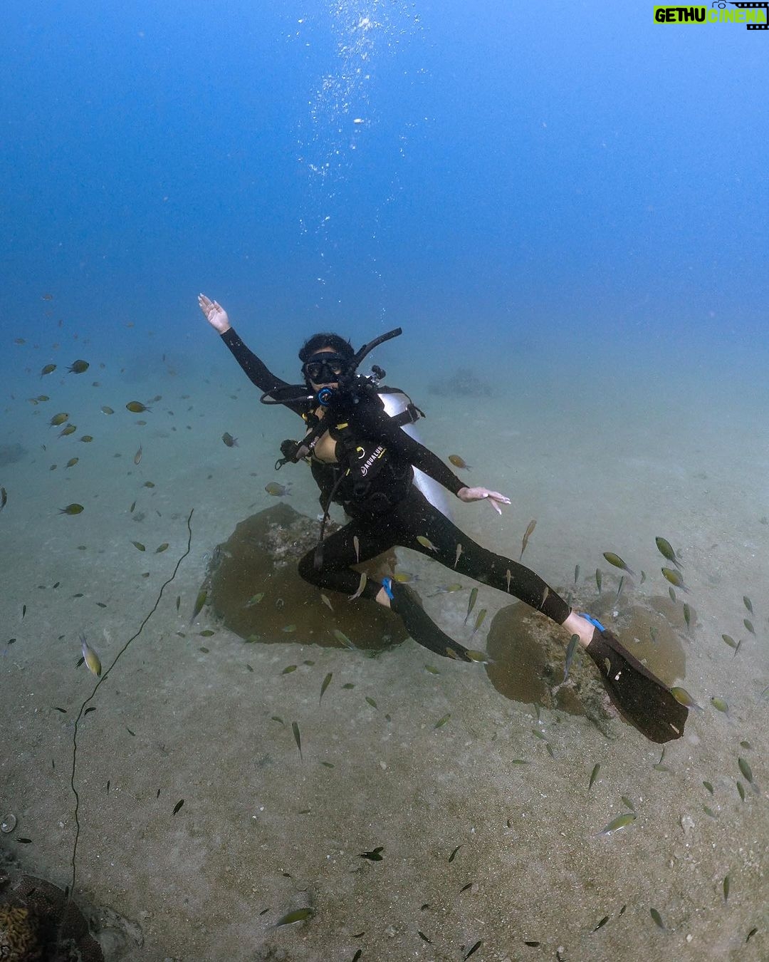 Safa Kabir Instagram - There is so much to see under the Sea. I really wanted to do it for a very long time. Finally it happened nicely and smoothly and I loved every bit of it. Thank you @blackturtledive For making one of my dreams come true. A lot of places need to be discovered, this time it was 12 meter in Tanote bay Thailand.
