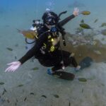 Safa Kabir Instagram – There is so much to see under the Sea. I really wanted to do it for a very long time. Finally it happened nicely and smoothly and I loved every bit of it. Thank you @blackturtledive 
For making one of my dreams come true. A lot of places need to be discovered, this time it was 12 meter in Tanote bay Thailand.