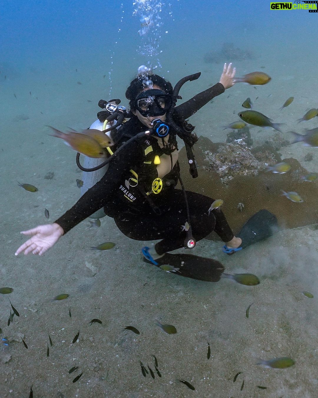Safa Kabir Instagram - There is so much to see under the Sea. I really wanted to do it for a very long time. Finally it happened nicely and smoothly and I loved every bit of it. Thank you @blackturtledive For making one of my dreams come true. A lot of places need to be discovered, this time it was 12 meter in Tanote bay Thailand.