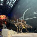 Safa Kabir Instagram - It was an amazing experience in natural history museum London. Natural History Museum, London