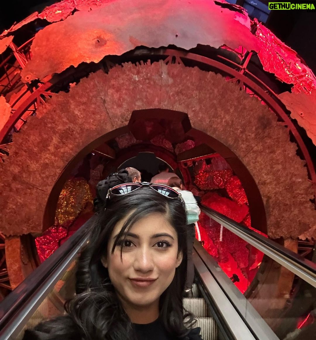 Safa Kabir Instagram - It was an amazing experience in natural history museum London. Natural History Museum, London