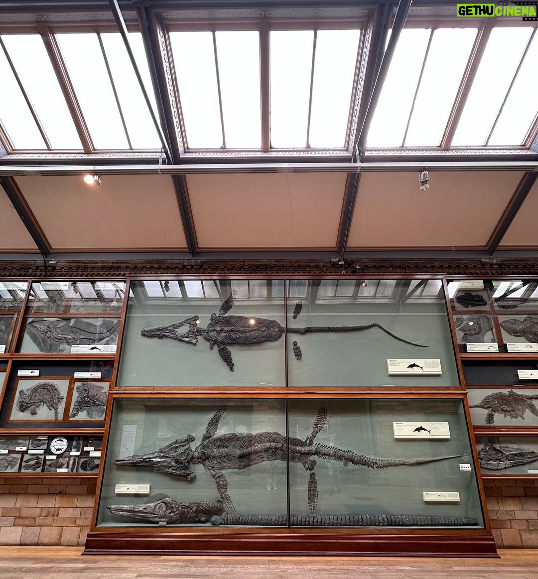 Safa Kabir Instagram - It was an amazing experience in natural history museum London. Natural History Museum, London