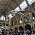Safa Kabir Instagram - It was an amazing experience in natural history museum London. Natural History Museum, London