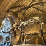 Safa Kabir Instagram - It was an amazing experience in natural history museum London. Natural History Museum, London