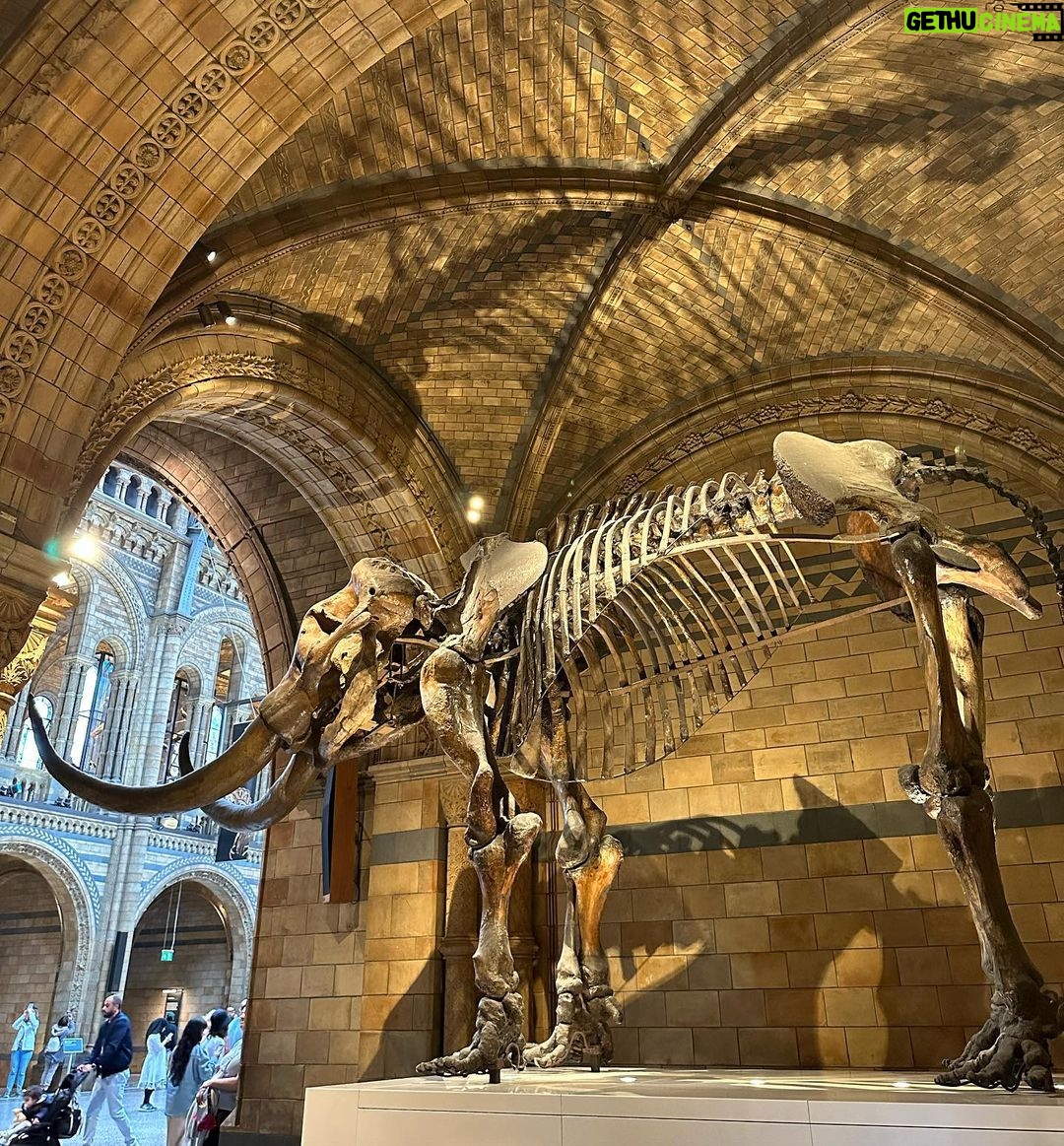 Safa Kabir Instagram - It was an amazing experience in natural history museum London. Natural History Museum, London