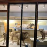 Safa Kabir Instagram - It was an amazing experience in natural history museum London. Natural History Museum, London