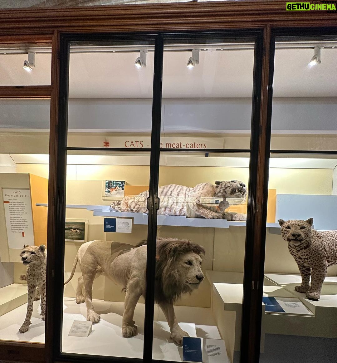 Safa Kabir Instagram - It was an amazing experience in natural history museum London. Natural History Museum, London