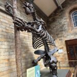 Safa Kabir Instagram - It was an amazing experience in natural history museum London. Natural History Museum, London