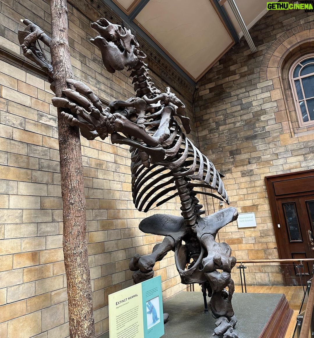 Safa Kabir Instagram - It was an amazing experience in natural history museum London. Natural History Museum, London