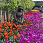 Safa Kabir Instagram - Tulip fest 🌷 Hampton Court Palace