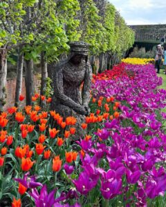 Safa Kabir Instagram - Tulip fest 🌷 Hampton Court Palace