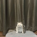 Sahaphap Wongratch Instagram - Froqe
