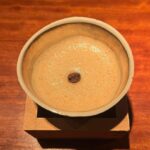 Sahaphap Wongratch Instagram – 🫶🏻 Ikebukuro