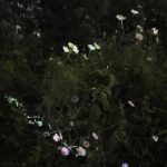 Sahaphap Wongratch Instagram – Light 💡