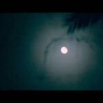 Sahar Al Sayegh Instagram - المداح 2 (اسطوره الوادي) رمضان 2022 #مليكه ♠️👁