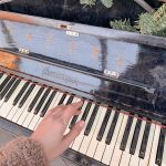 Sahar Ghoreyshi Instagram - به نواى طبيعت خوب گوش كن ، پيام هاى طبيعت رو جدى بگير 🙌🏼🌱