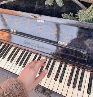 Sahar Ghoreyshi Instagram - به نواى طبيعت خوب گوش كن ،
پيام هاى طبيعت رو جدى بگير 🙌🏼🌱