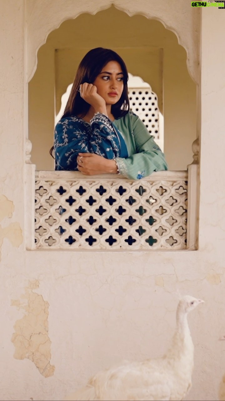 Sajal Ali Instagram - Super excited to be the muse of @crossstitch_official Khaddar-Linen ‘23! Their designs have always resonated with me and I’m thrilled to unveil the magic we’ve brought to life in this campaign! 🌹🤍 Prebooking Starts on 19th October ’23 at 3:00 PM (PST) #crossstitchgirls #crossstitchpk #unstitched #linen #khaddar #crossstitch #cselflove #wintercollection #embroidered #crossstitchwinter #unstitchedcollection #awinterstory #crossstitchxsajalaly