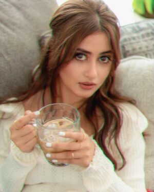 Sajal Ali Instagram - 🫡 
Durefishan ki khwahish par posting this one. 🌹