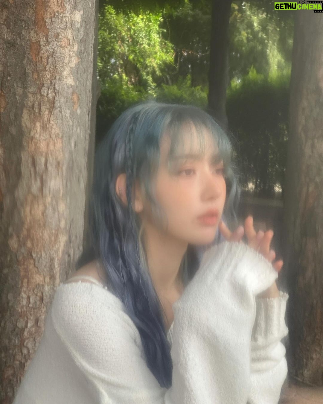 Sakura Miyawaki Instagram - SHEER MYRRH