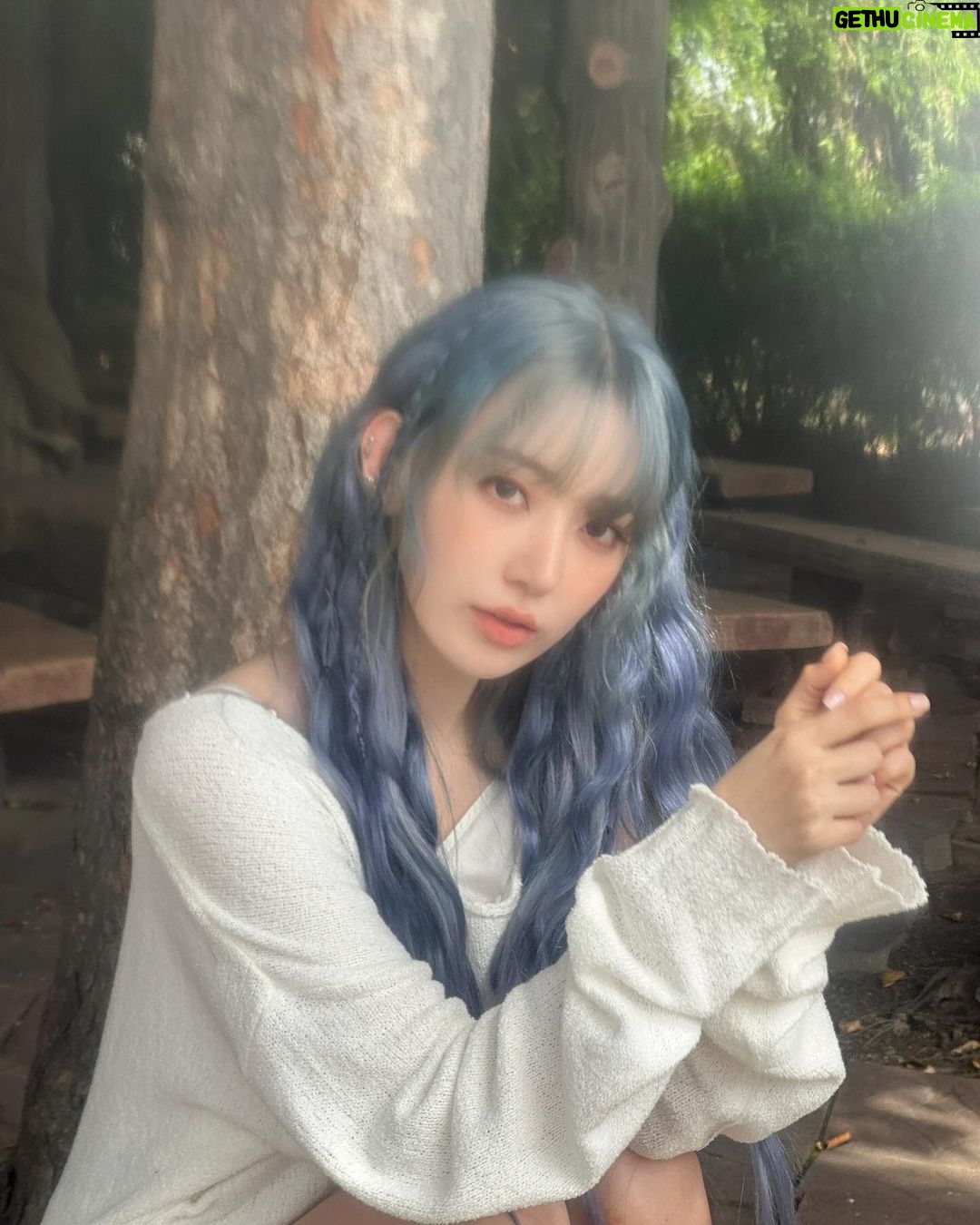 Sakura Miyawaki Instagram - SHEER MYRRH