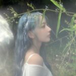 Sakura Miyawaki Instagram - SHEER MYRRH