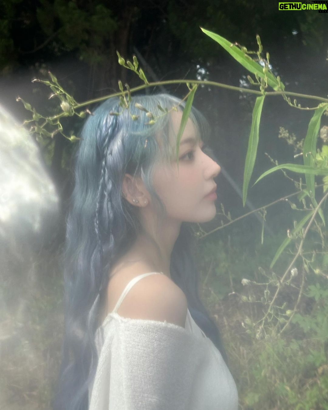 Sakura Miyawaki Instagram - SHEER MYRRH