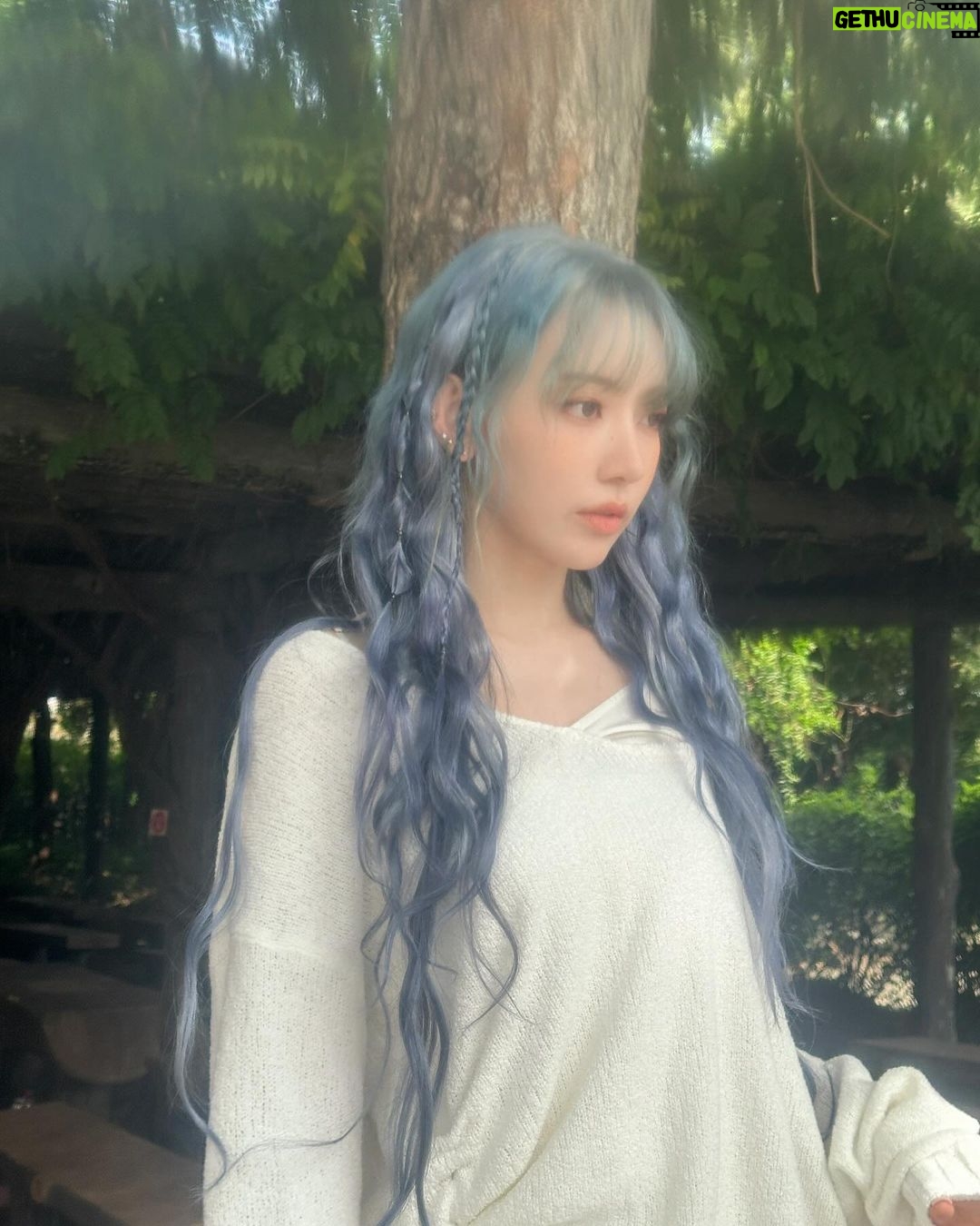 Sakura Miyawaki Instagram - SHEER MYRRH