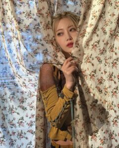 Sakura Miyawaki Instagram - 💛🖤