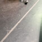 Sal Vulcano Instagram – Incredible weekend watching my brother @salvulcano crush his 1st standup special🔥
You guys are in for a treat. It looks gorgeous, the set is hilarious, and the crowds were perfect. Sal is the mensch amongst men, and worked his ass off for this. Always good being inspired by homies. @arishaffir @bramsec & @800pgm were legends, and @chrisjcomedy set the tone up top.
Thanks for the fun Chicago!!😎 The Vic Theatre