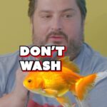 Sal Vulcano Instagram – Thursdays are for the BABES!
BRAND NEW @heybabepod is out now with special guests @areyougarbage!

For full ep, click on the link in bio or go to the No Presh channel on YouTube! Audio available on Spotify and iTunes etc.

Subscribe to our channel and follow and rate us on iTunes!

@chrisdcomedy
@thehomelesspimp