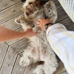 Salvatore Cinquegrana Instagram - fdm dump Forte dei Marmi