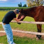 Salvatore Cinquegrana Instagram - 30 Dicembre in t-shirt🐴