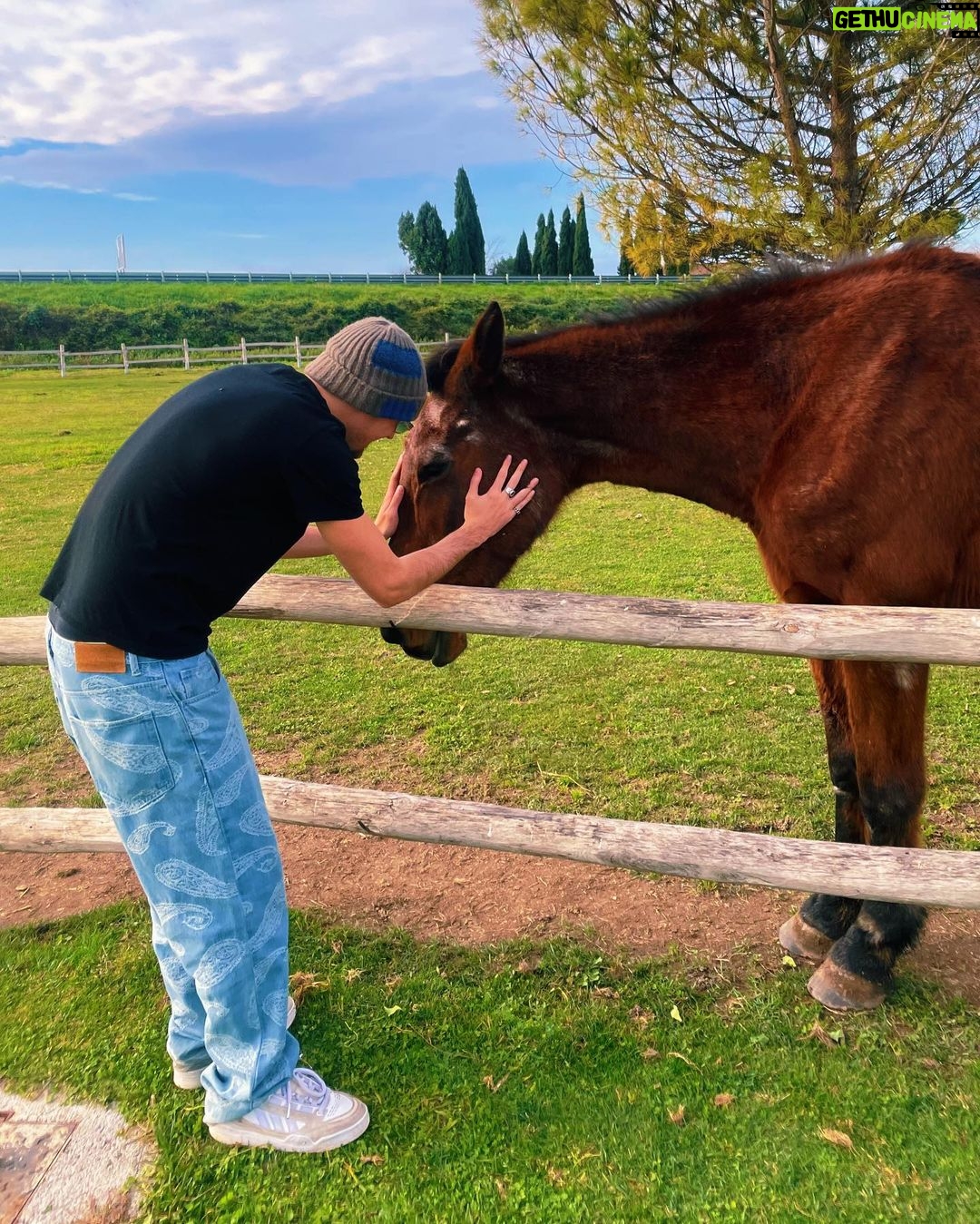 Salvatore Cinquegrana Instagram - 30 Dicembre in t-shirt🐴